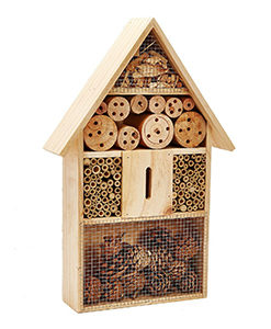 pet ting insect hotel